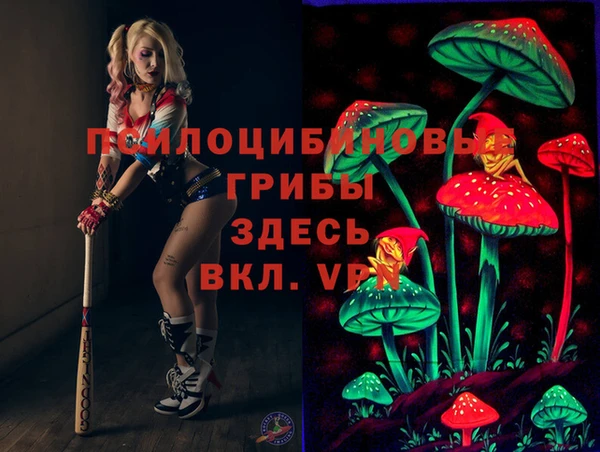 соль ск Нефтегорск