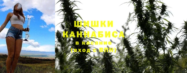 бошки Бикин