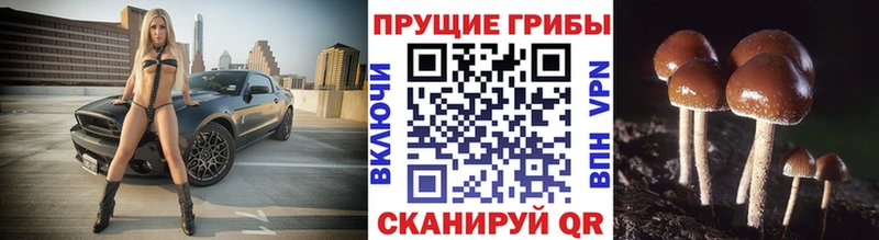 Галлюциногенные грибы прущие грибы  Ковылкино 